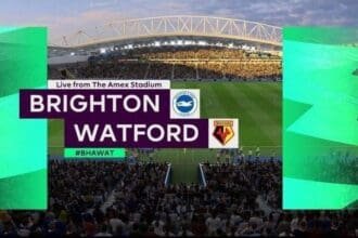 brighton-vs-watford