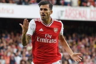 dani-ceballos-arsenal_47722