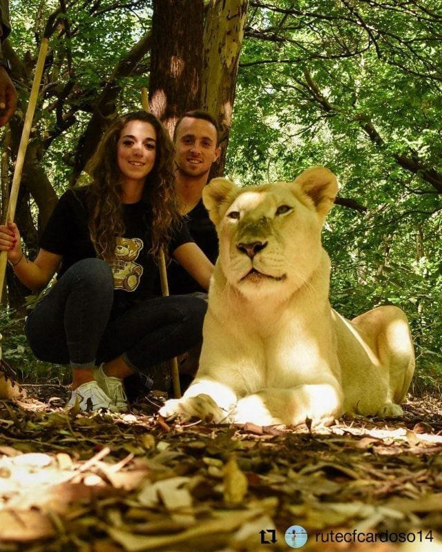 Meet Diogo Jota's stunning girlfriend, Rute Cardoso