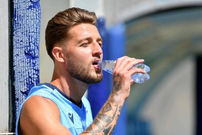 SergejMilinković-Savić