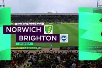 norwich-city-vs-brighton-fifa-preview