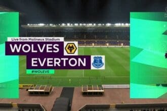 wolves-vs-everton_preview_fifa