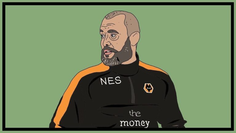 Why Wolverhampton Wanderers are struggling this season