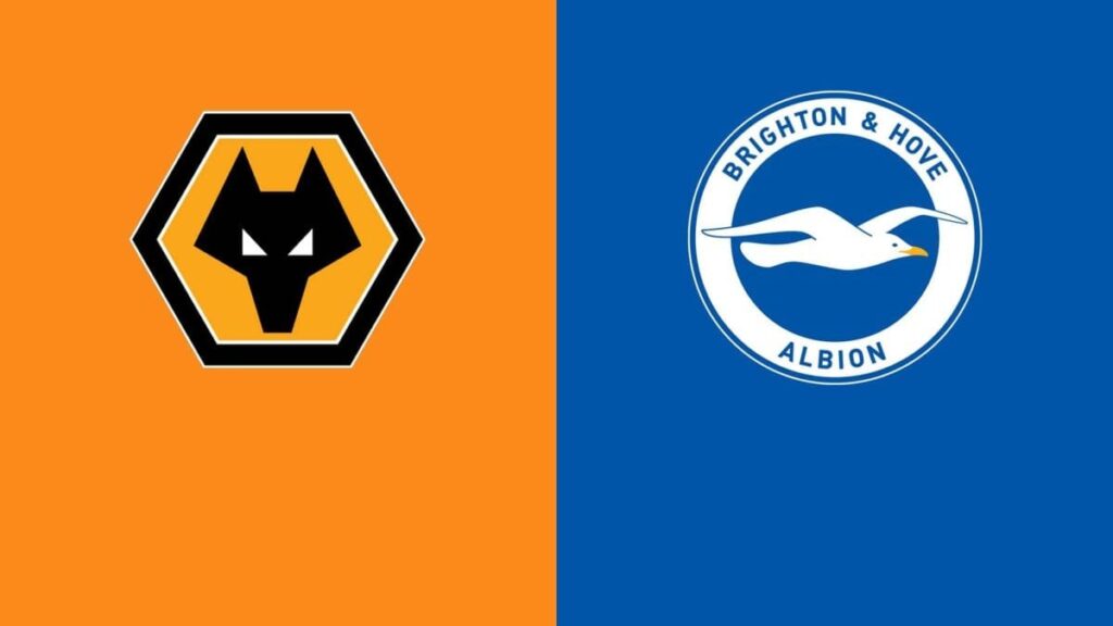 Wolves-vs-Brighton-Preview | Premier League News Now Wolves vs Brighton Preview