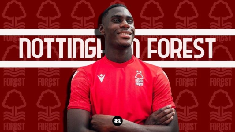 What can Moussa Niakhate bring to Nottingham Forest?