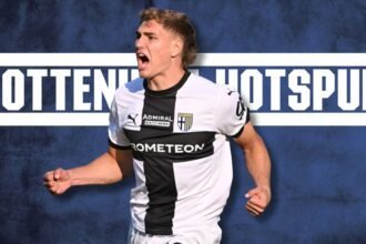 Mateo-Pellegrino